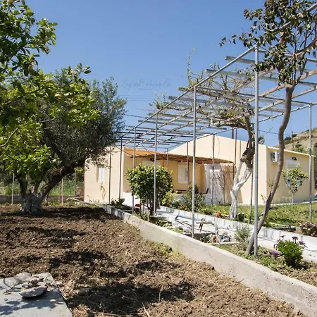 Apartment Lothiko House With Big Yard *